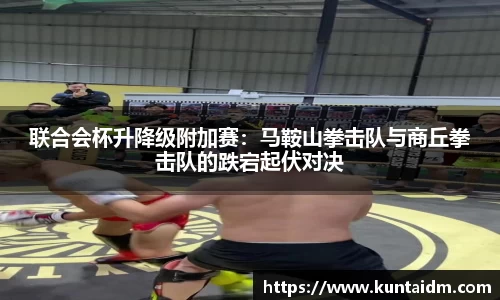 乐球直播免费在线观看